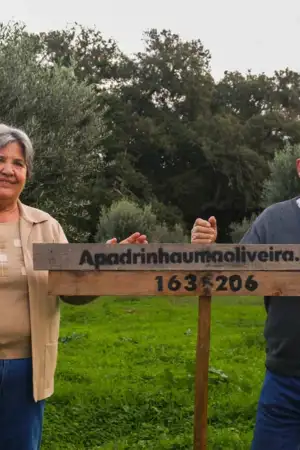 Retrato do casal Eminência e Eduardo Grácio, que pediram ajuda ao projeto "Apadrinha uma Oliveira"